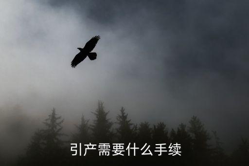  引產需要什么手續