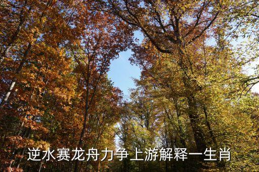 力爭(zhēng)上游的意思，逆水賽龍舟力爭(zhēng)上游解釋一生肖