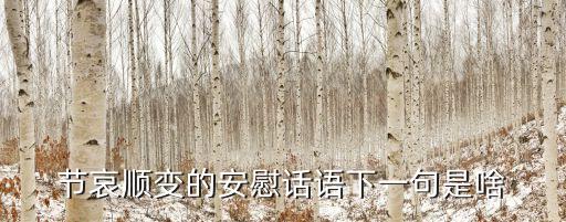 節(jié)哀順變的安慰話語下一句是啥