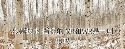 股票技術 指標的 VR和WR是一回事嗎