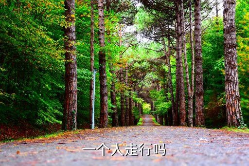一個人行走，一個人每小時行走多少公里