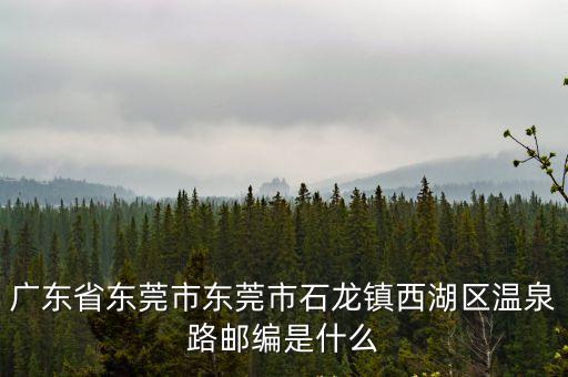 廣東省東莞市東莞市石龍鎮(zhèn)西湖區(qū)溫泉路郵編是什么