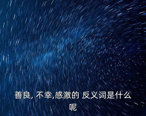 善良, 不幸,感激的 反義詞是什么呢