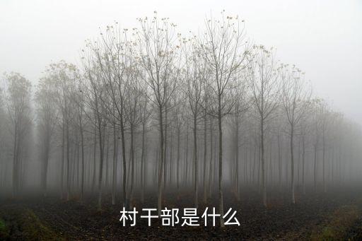 村級干部，村干部是什么