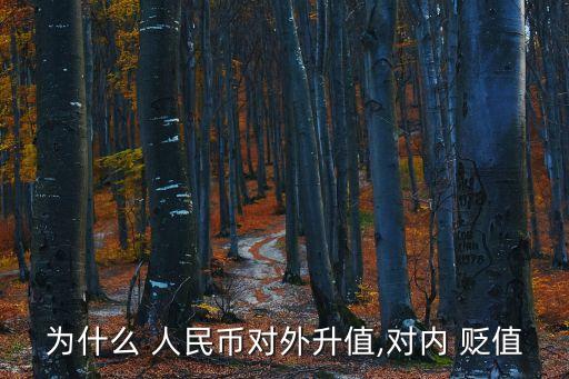 為什么 人民幣對外升值,對內 貶值