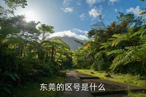 東莞三洋馬達(dá)區(qū)號，東莞的區(qū)號是什么