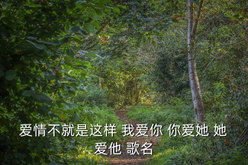 愛情不就是這樣 我愛你 你愛她 她愛他 歌名