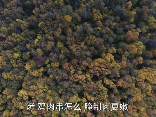 雞肉串的腌制方法,牛肉串燒的秘訣!