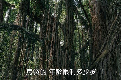 房貸年齡,按揭買房要求年滿18周歲