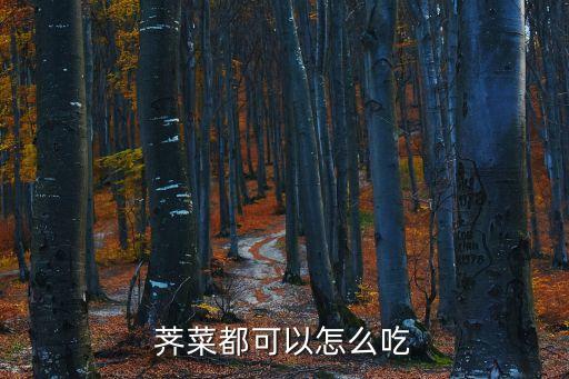 莼菜怎么吃，薺菜都可以怎么吃