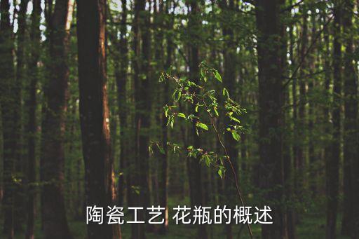 瓷器花瓶,中低溫陶瓷花瓶吸水率遠高于規格表面噴漆再貼花