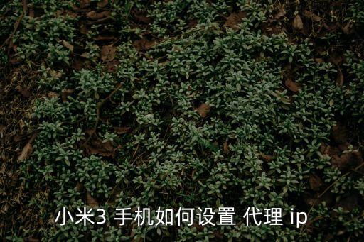 小米3 手機(jī)如何設(shè)置 代理 ip