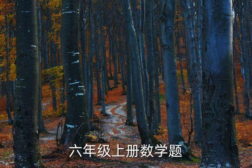 六年級(jí)上冊(cè)數(shù)學(xué)題