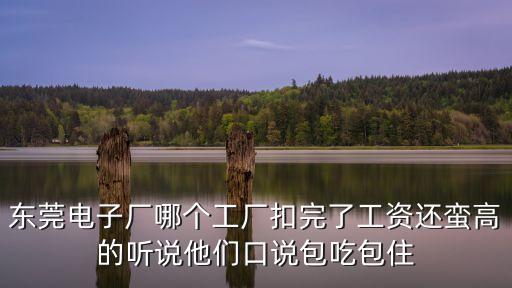 東莞電子廠哪個(gè)工廠扣完了工資還蠻高的聽說他們口說包吃包住