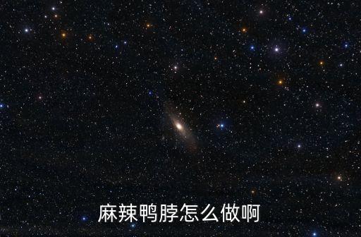 麻辣鴨脖，麻辣鴨脖的作法