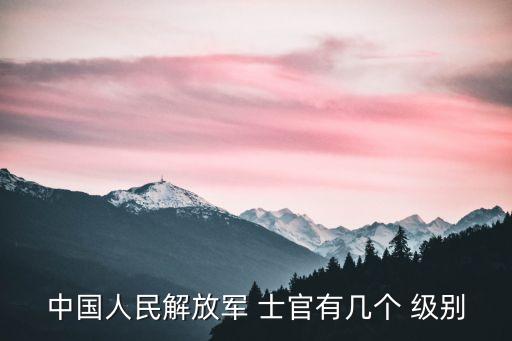 四級士官是什么級別,我國軍隊規定士兵分四種軍銜服役