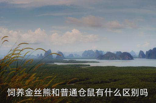 倉鼠金絲熊，倉鼠和金絲熊能在一起養(yǎng)嗎