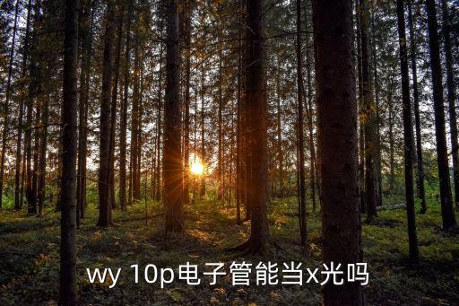 wy 10p電子管能當x光嗎