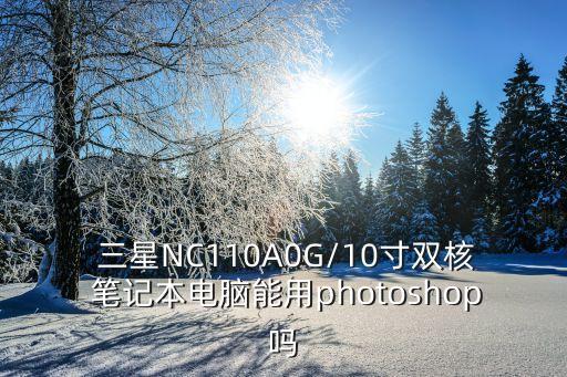  三星NC110A0G/10寸雙核 筆記本電腦能用photoshop嗎