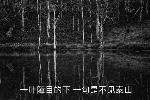 一葉障目的下一句,一葉障目，不見泰山?