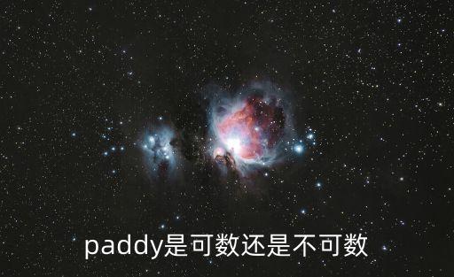paddy是可數還是不可數