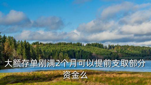 大額存單剛滿2個月可以提前支取部分資金么