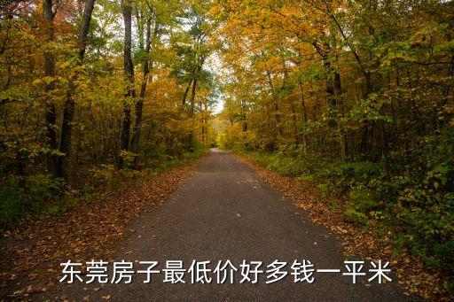 東莞房子最低價(jià)好多錢一平米