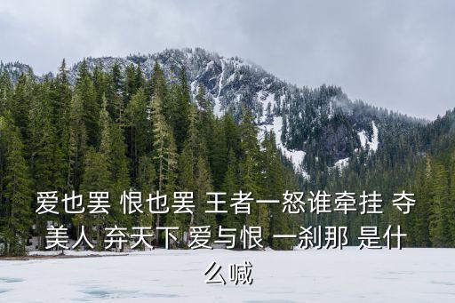 棄天下，愛也罷 恨也罷 王者一怒誰牽掛 奪美人 棄天下 愛與恨 一剎那 是什么喊