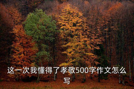 這一次我懂得了孝敬500字作文怎么寫