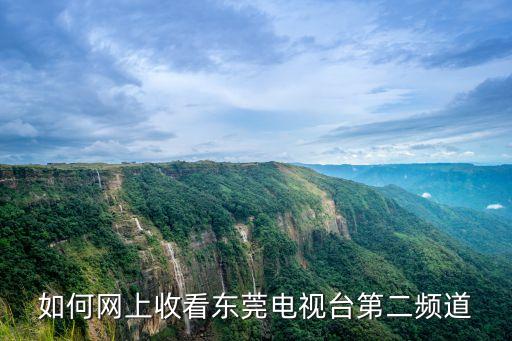 東莞熱點訪談視頻，東莞家園網(wǎng)戀魅影