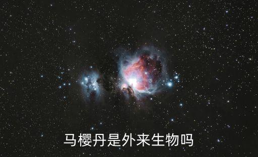 馬櫻丹，馬櫻丹是外來(lái)生物嗎