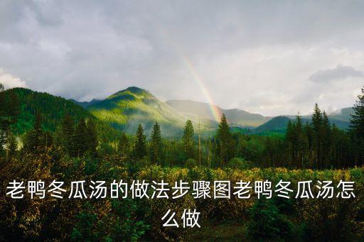 冬瓜老鴨湯的做法，冬瓜老鴨湯的做法冬瓜老鴨湯怎么做好吃冬瓜