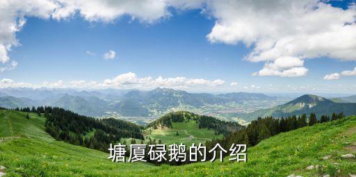 東莞菜市場的鹵水鵝是用哪種鵝，東莞最正宗燒鵝瀨