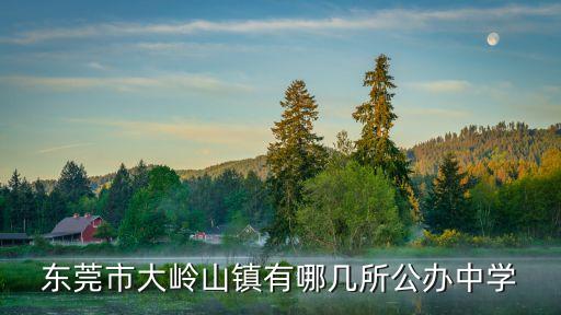 東莞市大嶺山鎮(zhèn)有哪些私立小學，東莞哪里有好一點的私立小學