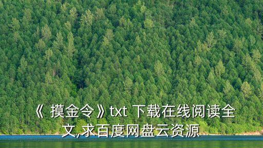 摸金令下載,劉金偉在宛城開出租車誤入古文物販子環形陷阱