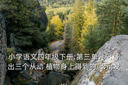 植物仿生學(xué),水母耳朵風(fēng)暴預(yù)報(bào)器模擬器官感受發(fā)聲