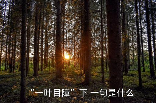 “一葉目障”下 一句是什么