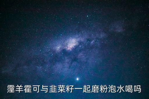 霪羊霍可與韭菜籽一起磨粉泡水喝嗎