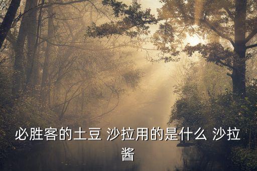蔬菜沙拉用什么沙拉醬,nn自制沙拉醬料不宜存放超過三天
