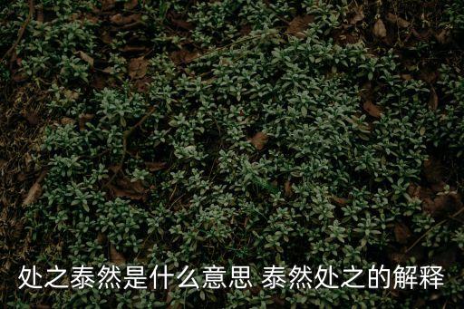 泰然處之,泰然處之:形容淡泊從容反義詞:驚慌失措
