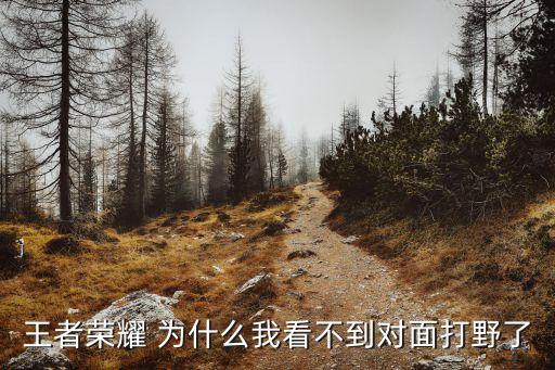 王者榮耀 為什么我看不到對面打野了