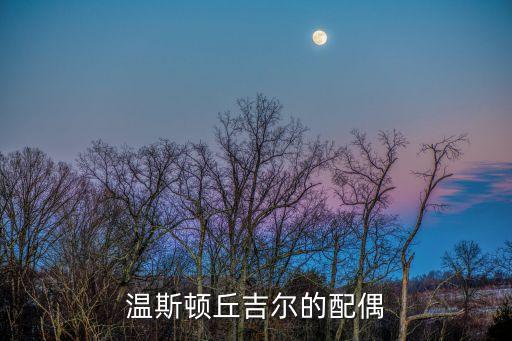 溫斯頓丘吉爾，Winston Churchill是什么名字