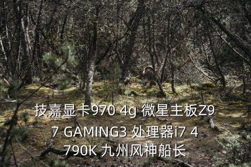 技嘉顯卡970 4g 微星主板Z97 GAMING3 處理器i7 4790K 九州風神船長