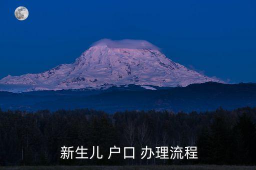  新生兒 戶口 辦理流程