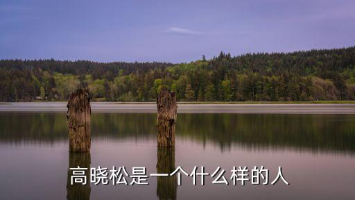 高曉松,高曉松:如果有機(jī)會讓清華同學(xué)成立科研中心很高興