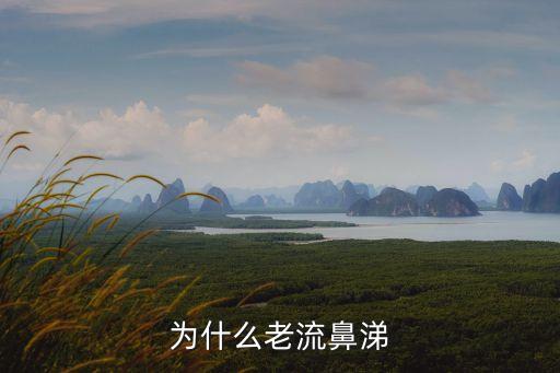 為什么一直流鼻涕，為什么老流鼻涕