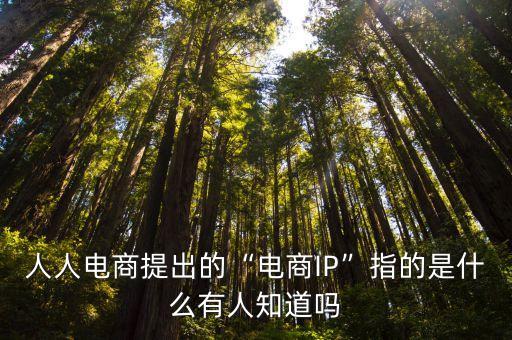 ip商,人人網商提出網商ip電商模式