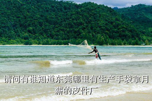 請(qǐng)問有誰知道東莞哪里有生產(chǎn)手袋拿月薪的皮件廠