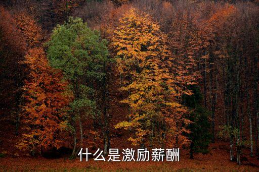 激勵薪酬，激勵薪酬的特點