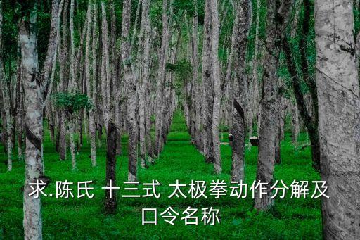 太極十三式,學太極不能只學公式十三